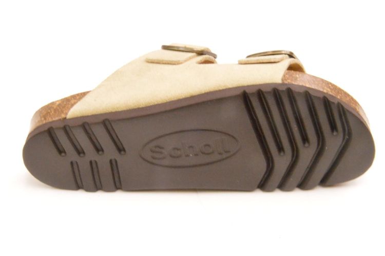 Scholl kurkvoetbed + 2 gespen (F32165 osephine) - Schoenen New Van Herck (Turnhout)