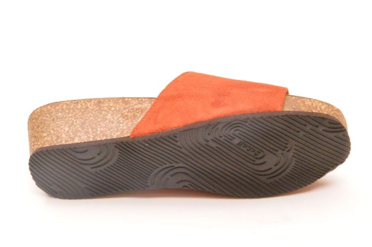 Scholl kurkvoetbed  (F00885 vegas mule) - Schoenen New Van Herck (Turnhout)