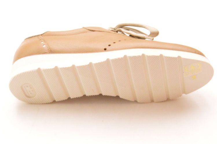 volpato geperforeerd (15122/1) - Schoenen New Van Herck (Turnhout)