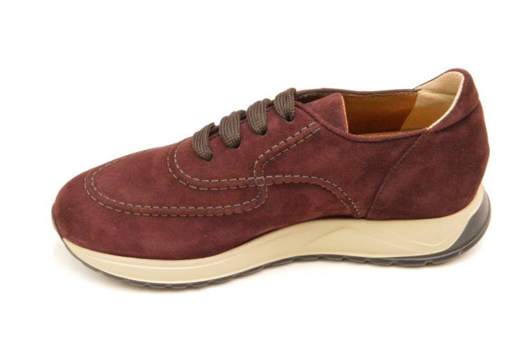 volpato hoge kap (4889) - Schoenen New Van Herck (Turnhout)