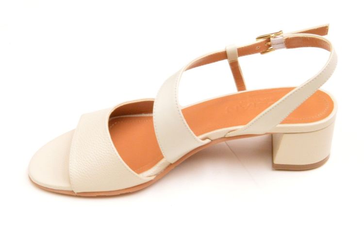 VOLTAN + gesp (lv575) - Schoenen New Van Herck (Turnhout)