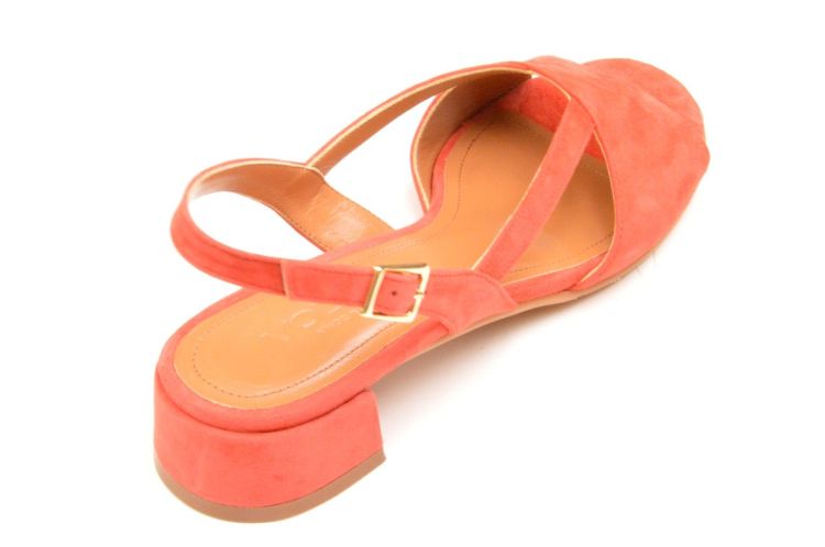 VOLTAN kruismodel (lv395) - Schoenen New Van Herck (Turnhout)