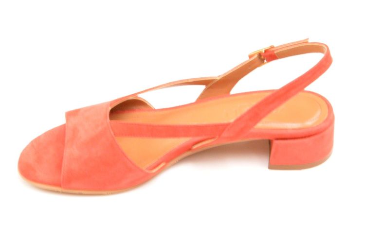 VOLTAN kruismodel (lv395) - Schoenen New Van Herck (Turnhout)