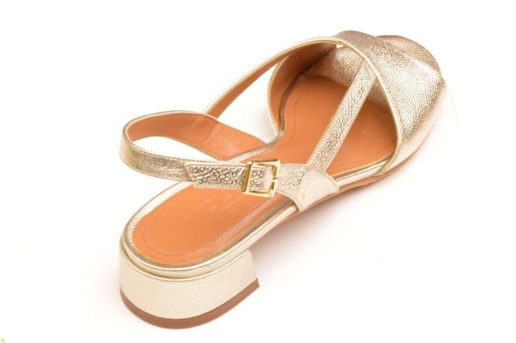 VOLTAN kruismodel (lv395) - Schoenen New Van Herck (Turnhout)