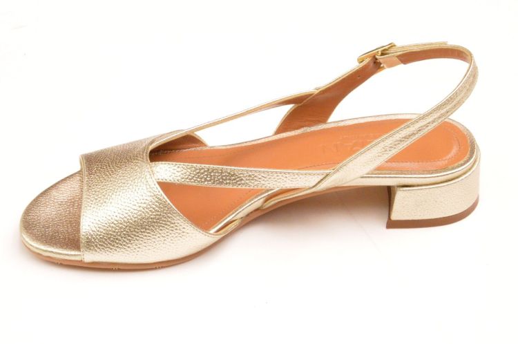 VOLTAN kruismodel (lv395) - Schoenen New Van Herck (Turnhout)