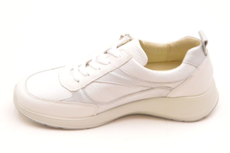 waldlaufer + rits (698008/400/663) - Schoenen New Van Herck (Turnhout)