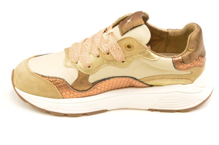 Xsensible unieke balanszool  (33011.3.304 rainbow) - Schoenen New Van Herck (Turnhout)
